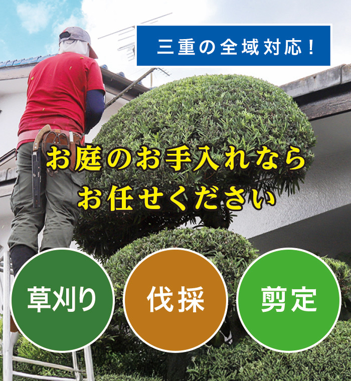 玉城町で草刈り・剪定・伐採なら「お庭の大将」 玉城町で草刈り・剪定・伐採なら「お庭の大将」